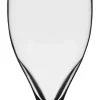Biertulpe Iserlohn 0,4l | Stölzle Lausitz | 500 ml (6 Stk)
