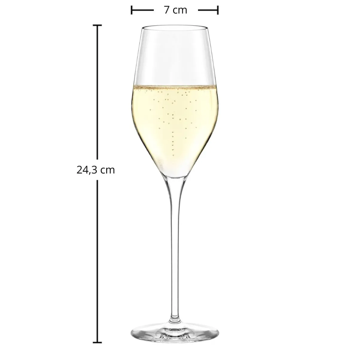 Champagnerglas | Exquisit Royal - Stölzle Lausitz | 265 ml (6 Stk)