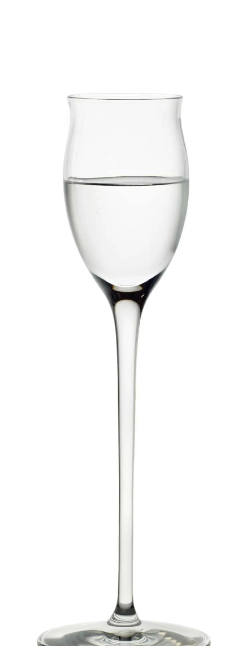 Edelbrand Glas | Quatrophil - Stölzle Lausitz | 65 ml (6 Stk)