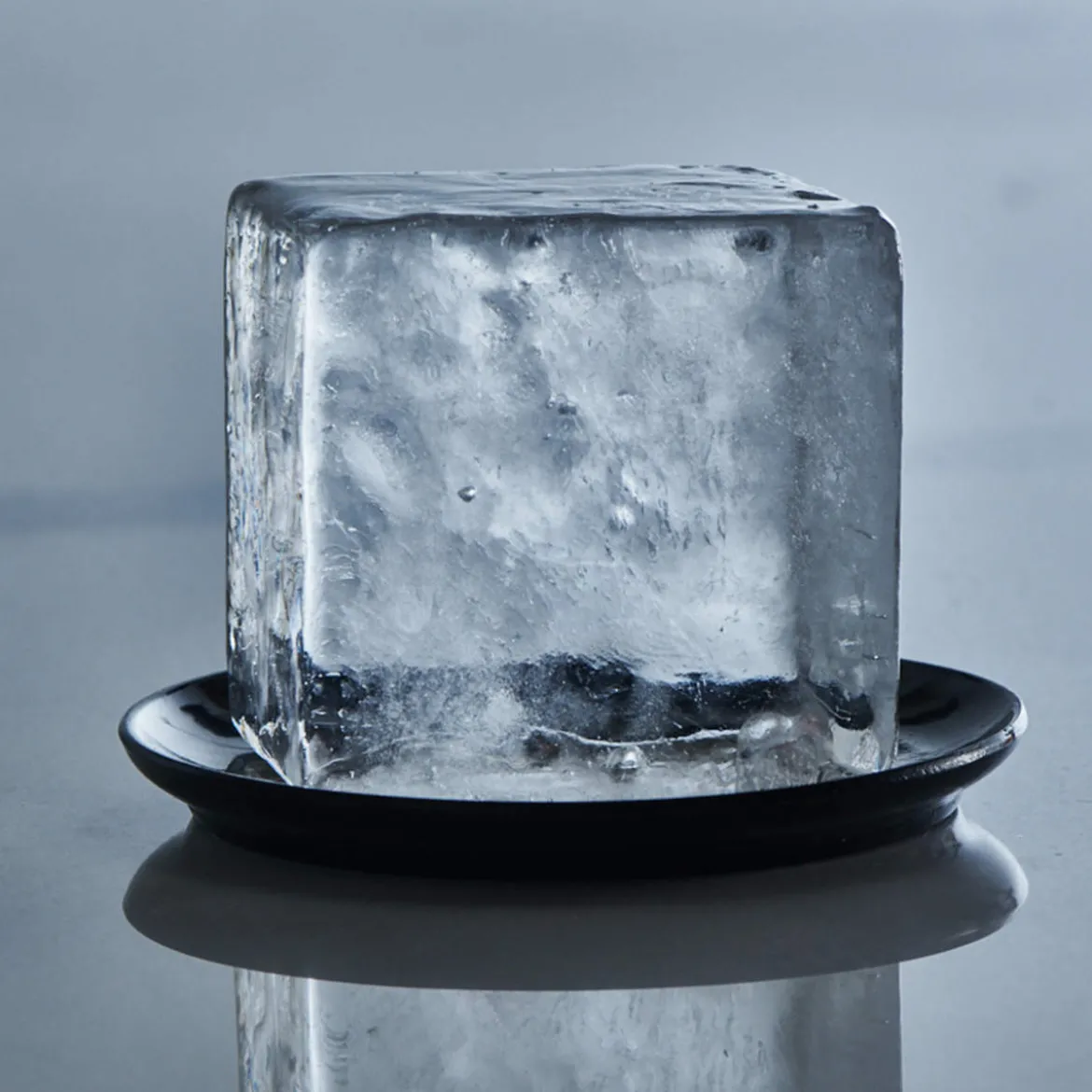 Eiswürfelform Arctic mit Deckel – Lurch | 12 x 5 cm