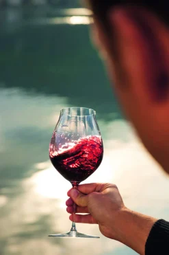 Rotweinglas Pinot Noir | Performance - Riedel | 830 ml (2 Stk)