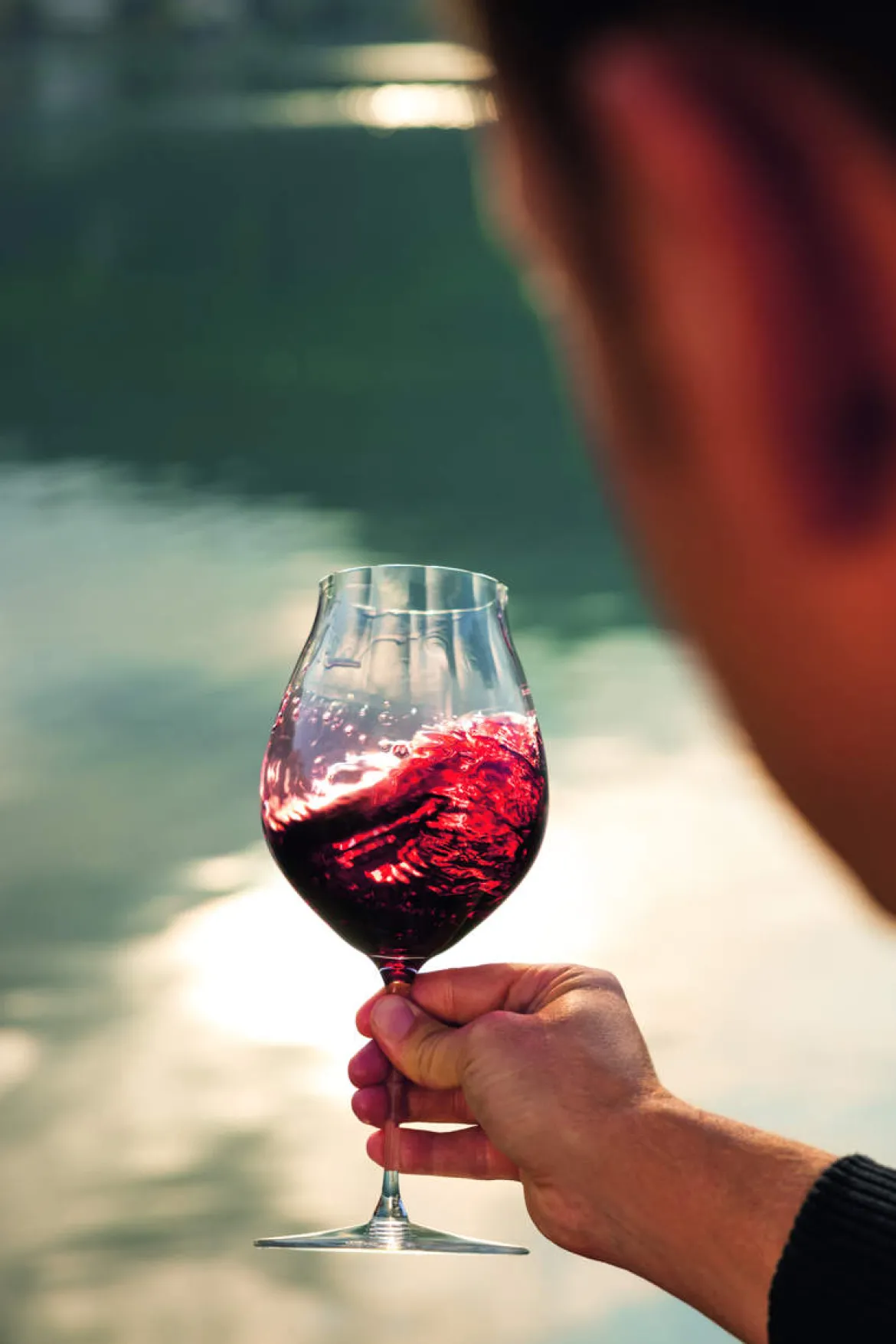 Rotweinglas Pinot Noir | Performance - Riedel | 830 ml (2 Stk)