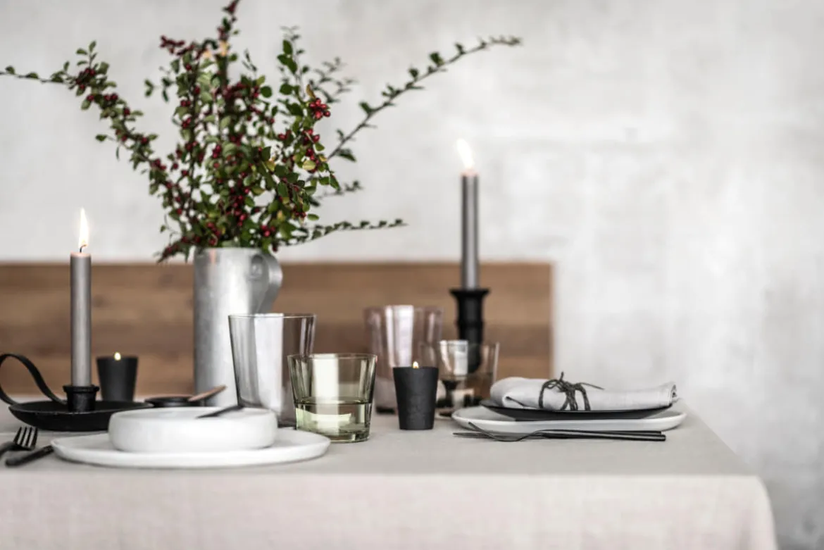 Wassergläser | Sonido - Schott Zwiesel | Olive - 550 ml (6 Stk)