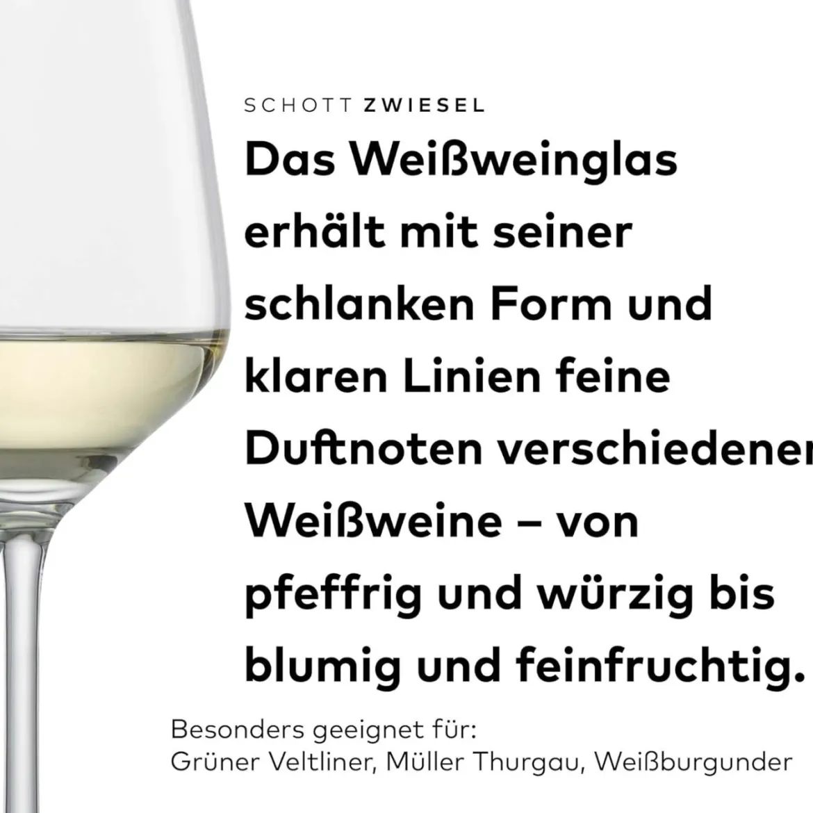 Weißweinglas | Taste - Schott Zwiesel | 0,1l + 0,2l Eiche - 360 ml (6 Stk)